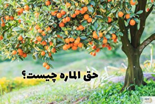 حق الماره چیست؟ / احکام شرعی حق الماره
