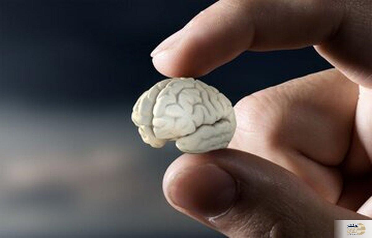 این علامت زنگ خطر زوال عقل در زنان است