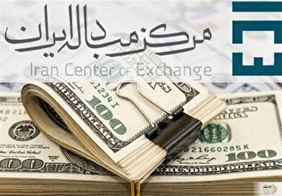 قیمت دلار سر به فلک کشید