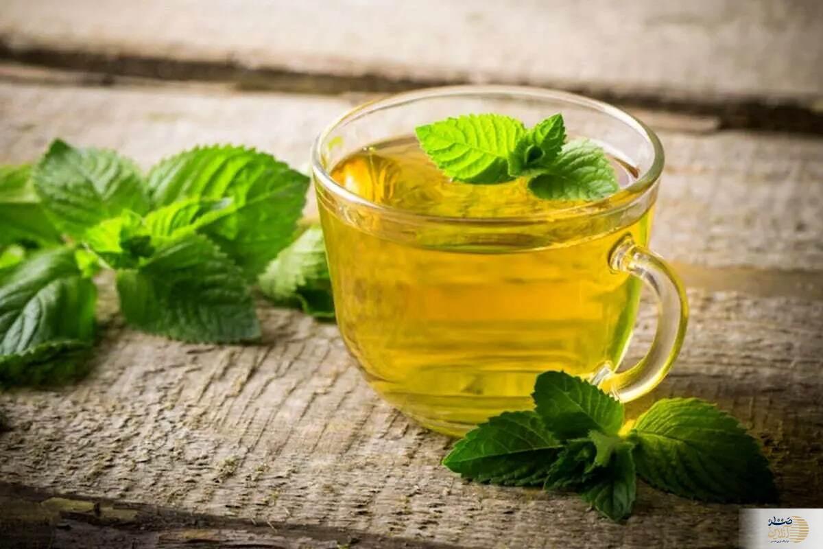 اگر نگران فراموشی هستید، این دو گیاه را در برنامه روزانه خود بگنجانید!