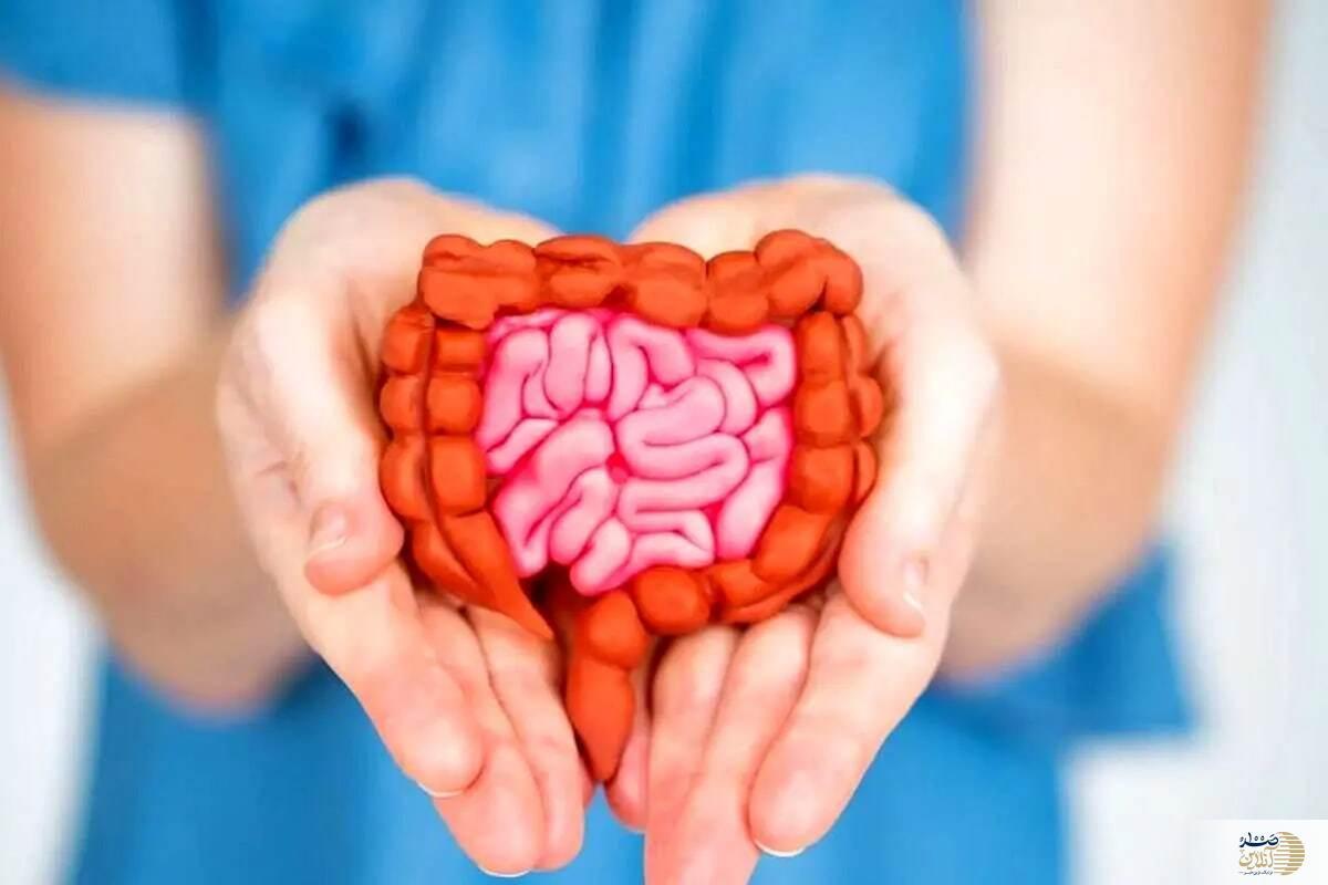 روده شما چه چیزی می‌خواهد؟ این ۴ ویتامین حیاتی را بشناسید!