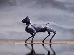 ویدیو| چینی‌ها سگ رباتیک وارد میدان کردند: آیا این آغاز عصر جدید است؟
