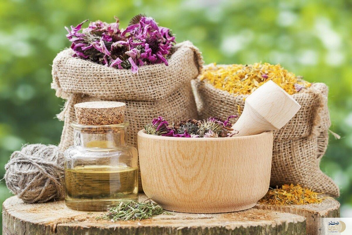 چطور گیاهان دارویی می‌توانند موهای شما را نجات دهند؟ رازهای درمانی گیاهان!