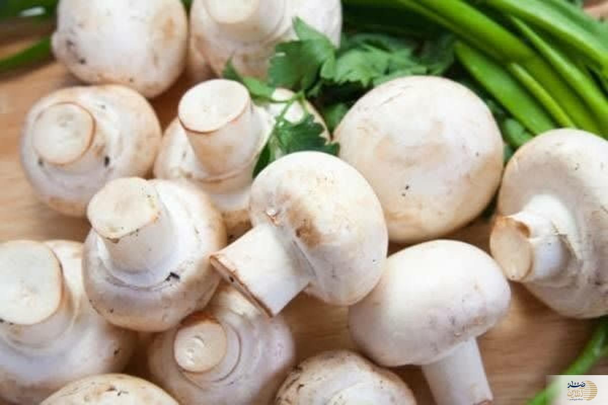 میدونستید قارچ بخورید سرطان نخواهید گرفت