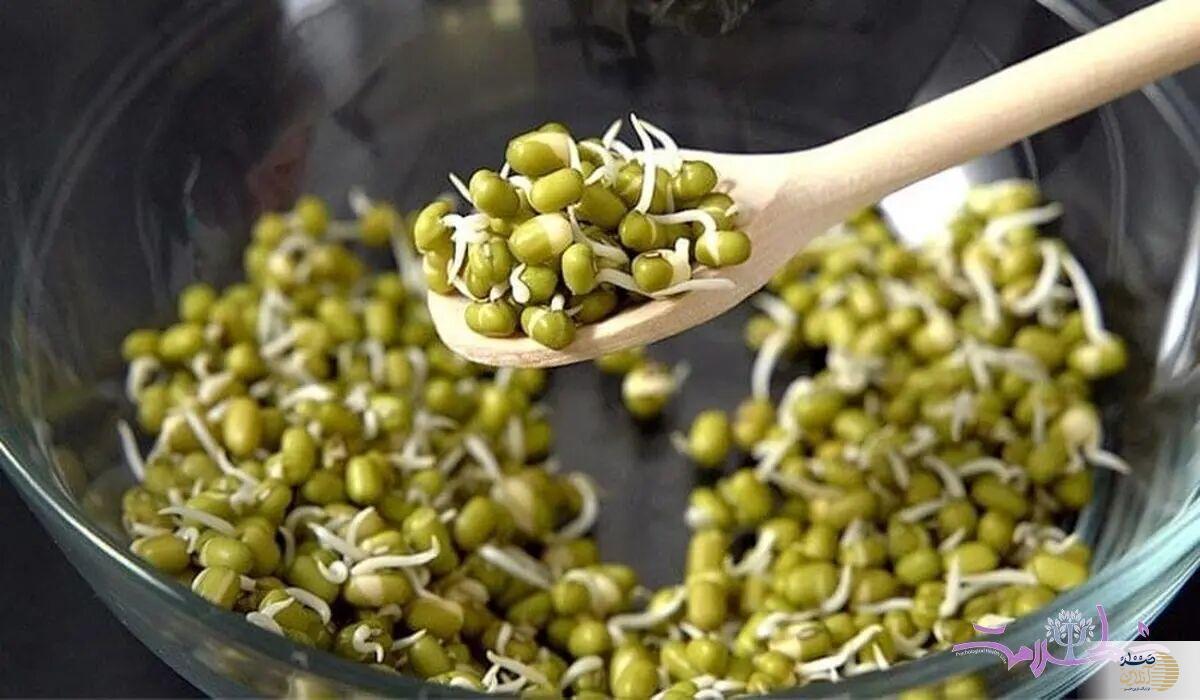 این دانه بمب کوچک اما سرشار از ویتامین و پروتئین