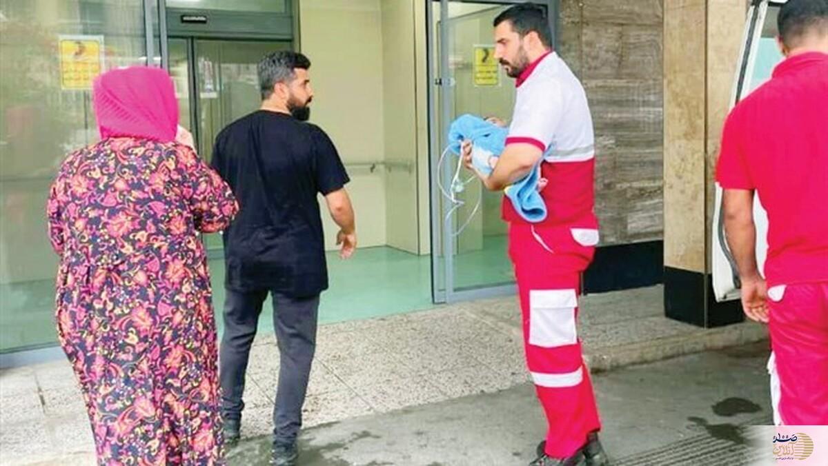 زرده تخم مرغ بلای جان نوازد شش ماه شد