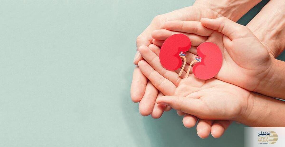 علائم سنگ کلیه/ این علائم را دیدید به پزشک مراجعه کنید