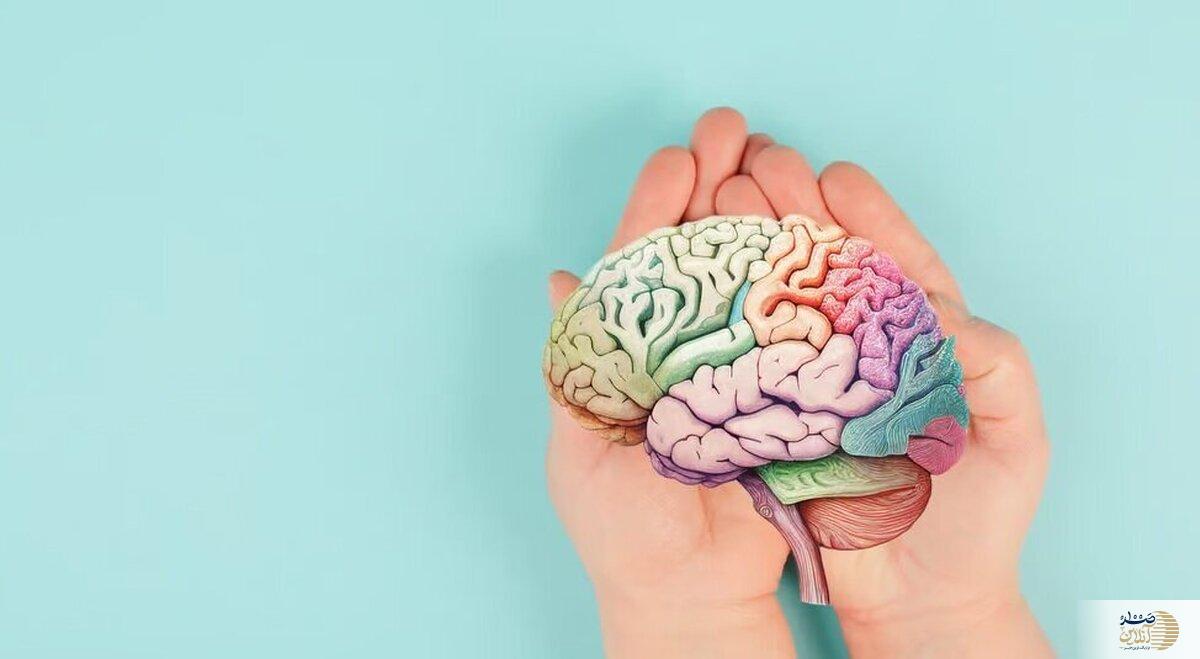 بدن سالم میخواهید؟ به مغزتان توجه کنید