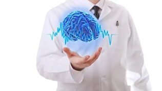 بدن سالم میخواهید؟ به مغزتان توجه کنید