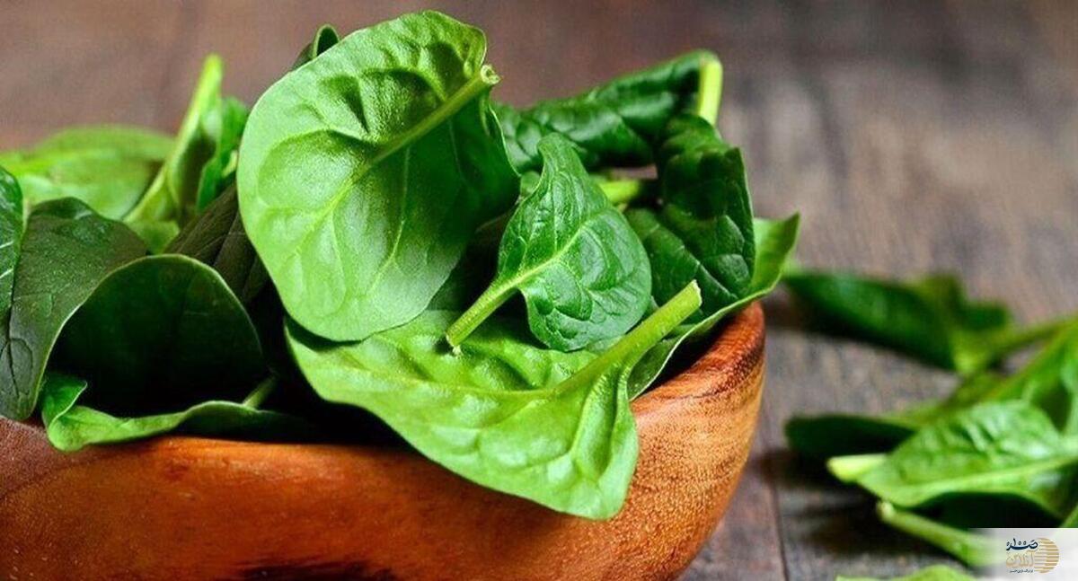این سبزی پر طرفدار از آب رفتن مغز جلوگیری می کند