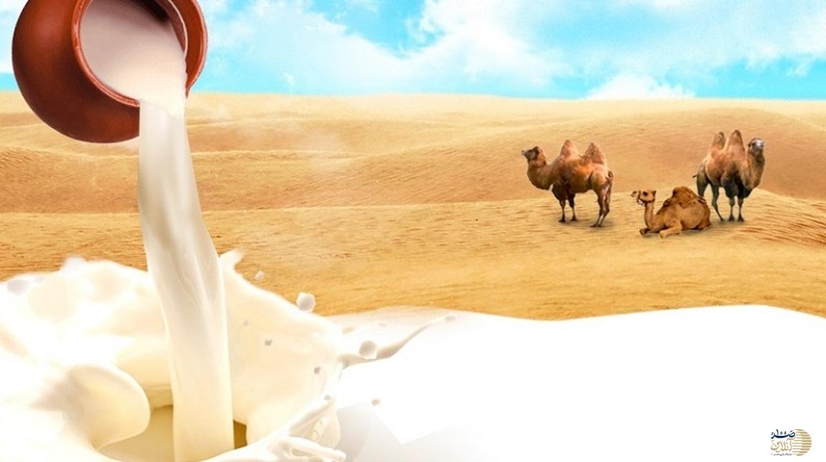 نجات معجزه آسا برای دیابت با مصرف این نوع شیر