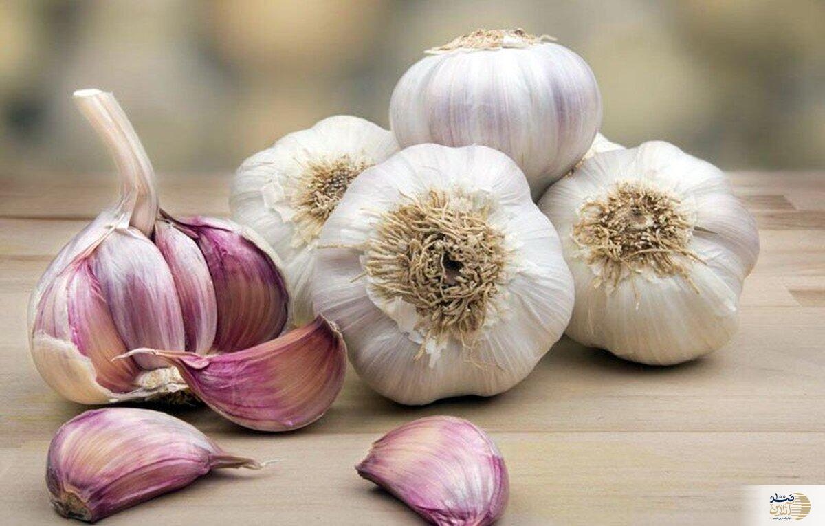 اگر می خواهید سالم بماند روزی یک حبه سیر بخورید