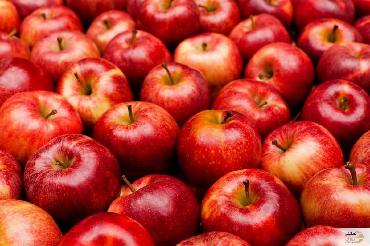 راز سلامتی در یک میوه قرمز؛ چرا باید روزی یک سیب بخورید؟