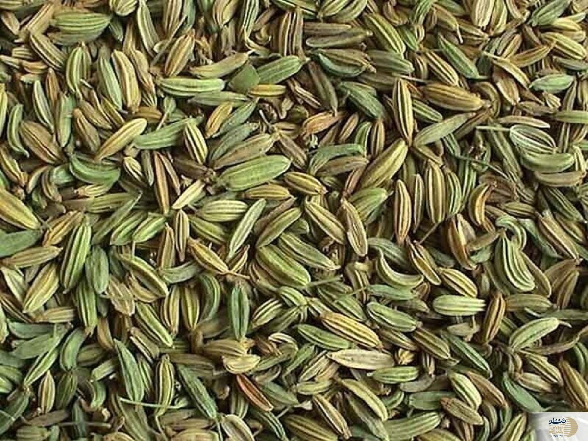 کشف دانه‌ای جادویی؛ هم لاغر می‌کند، هم با سرطان می‌جنگد!