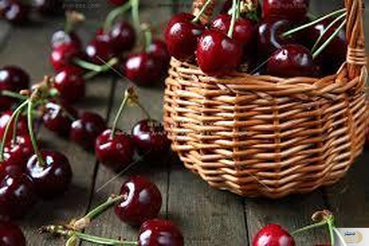 هسته این میوه خوشمزه تابستانه سمی است/ قورت ندهید
