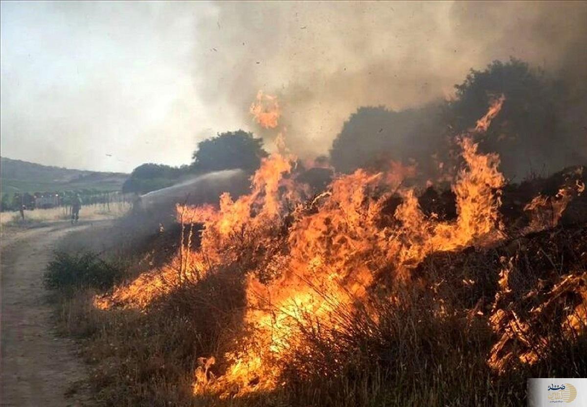 آتش به جان پارک ملی افتاد