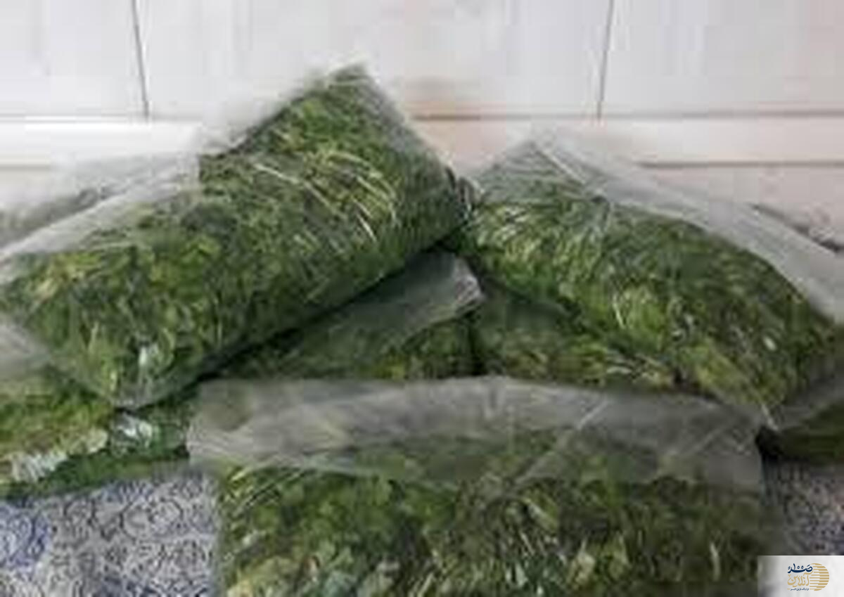 مواد مضر سرطان در این روش سبزی نگه داشتن در فریزر/ خانم ها این هشدار را جدی بگیرید