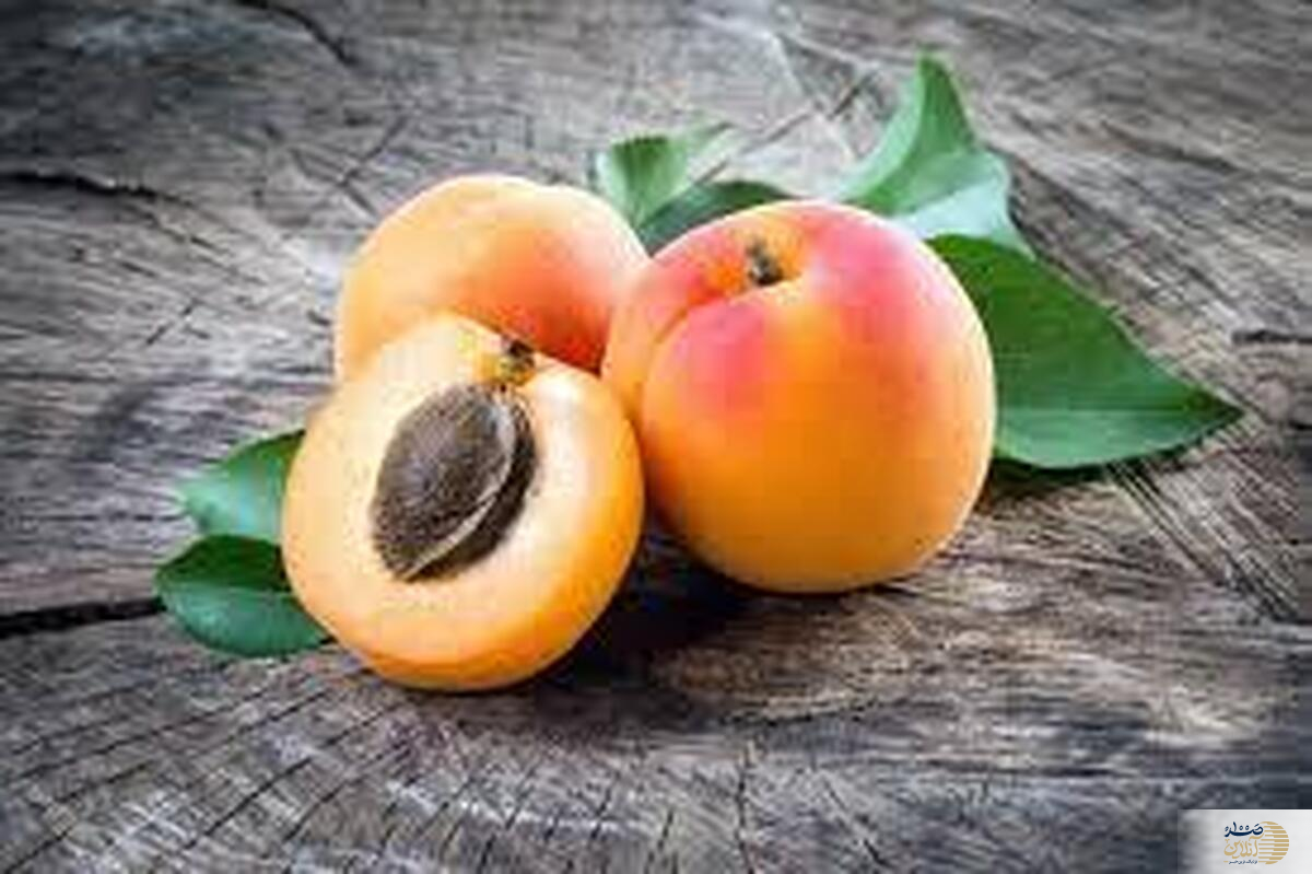 با مصرف این میوه تابستانه به جنگ کبد چرب بروید