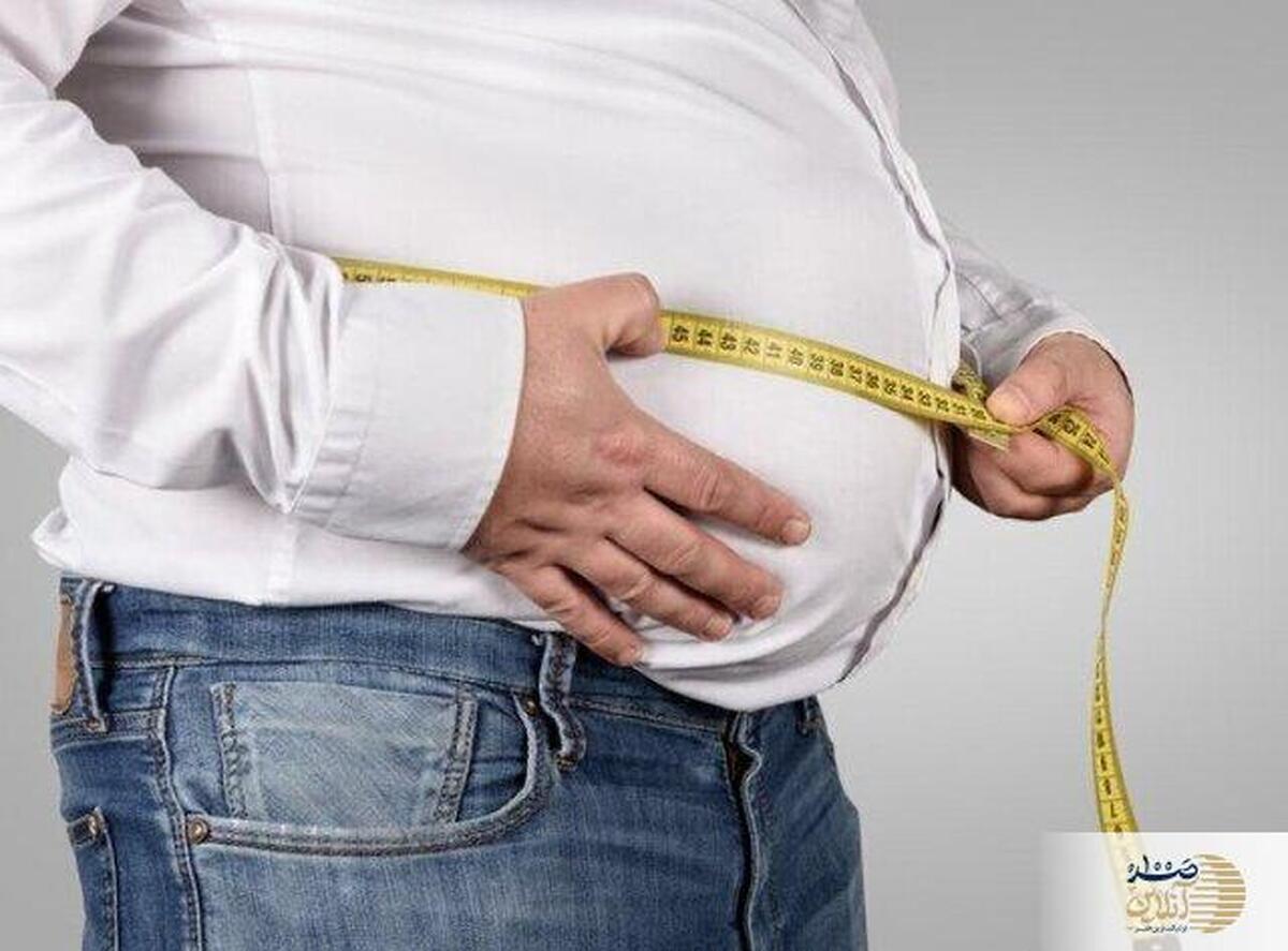جدیدترین رکورد چاقی تهرانی‌ها/ آیا بحران سلامت از این هم جدی‌تر می‌شود؟