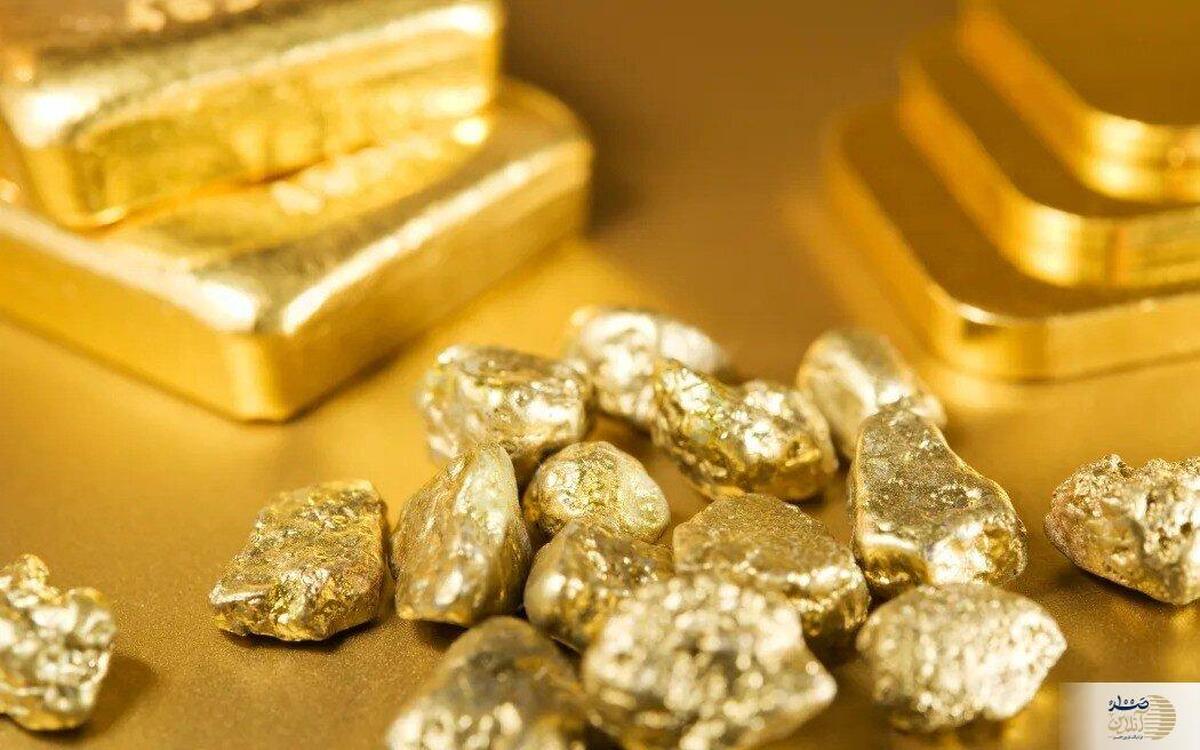 موج سواری طلا در دریای گرانی