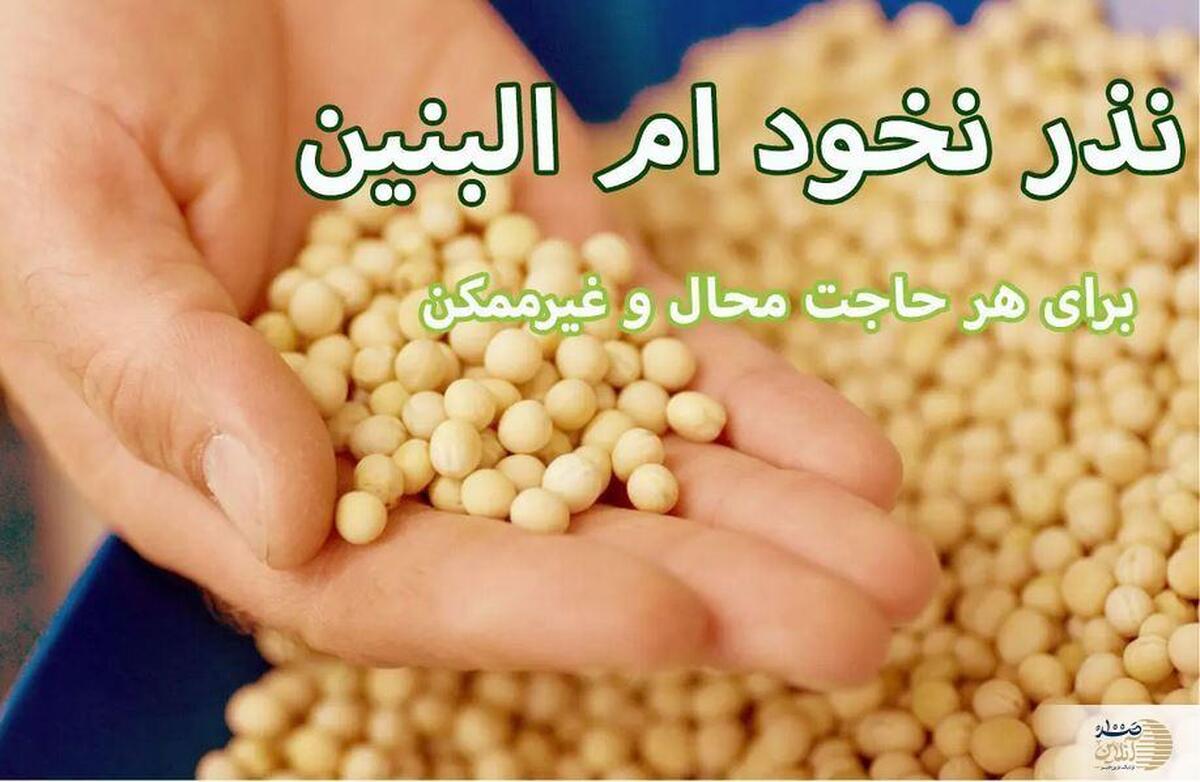 نذر ام‌البنین/ معجزه‌ای برای حاجت‌های محال