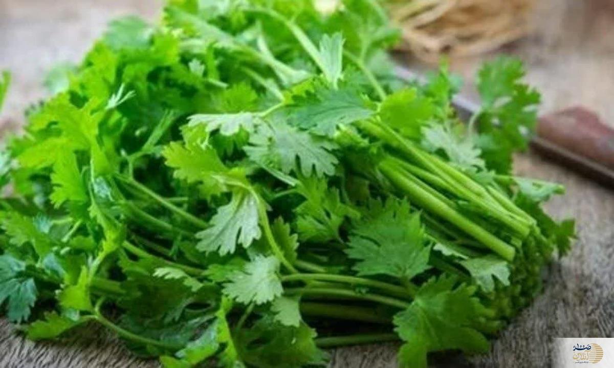 با این سبزی خوشمزه کم خونی تان را درمان کنید