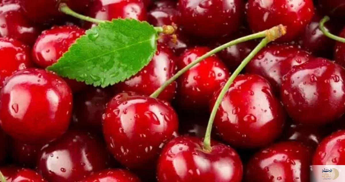 سلامت کبد با میوه لاکچری این روزهای بازار