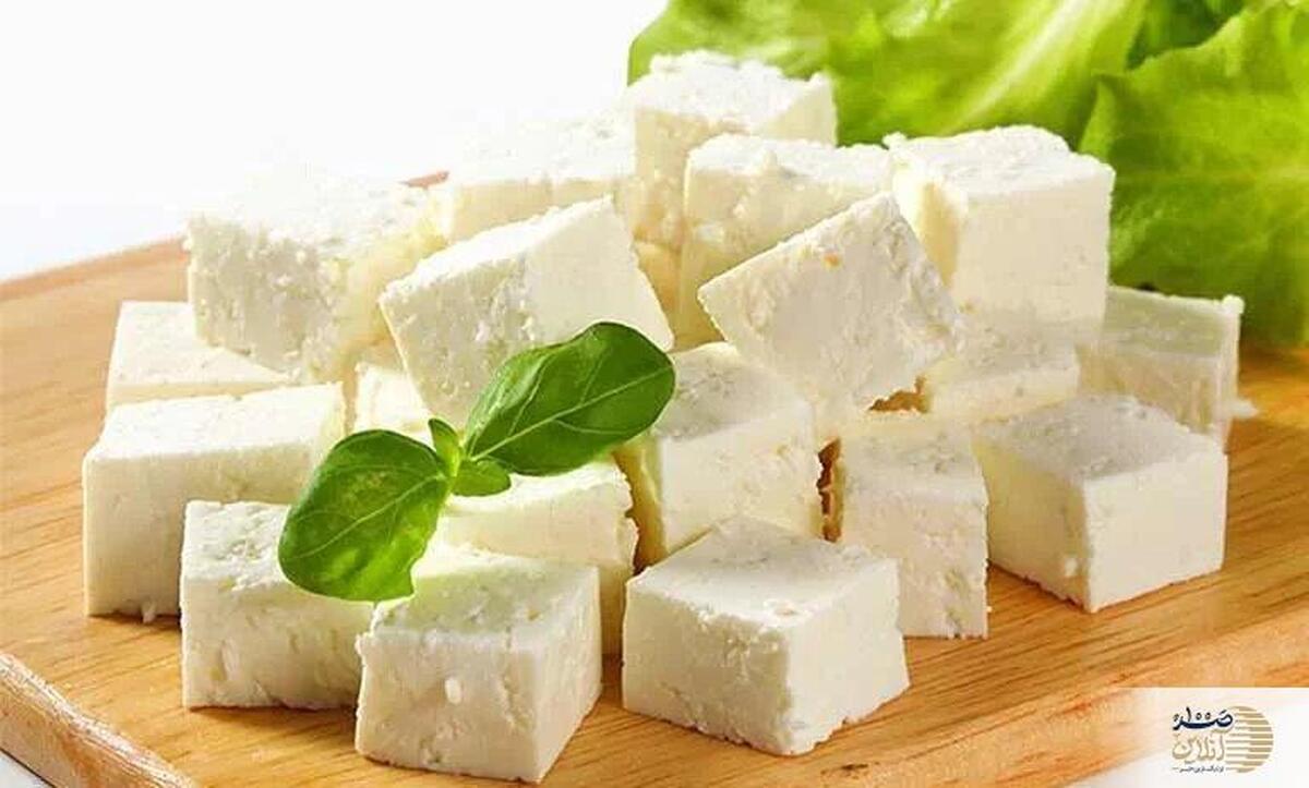 شوک بزرگ به دوست‌داران پنیر/ این غذای محبوب، بدنتان را فرسوده می‌کند!