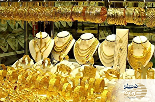 آخرین فرصت برای دریافت سکه پیش‌فروش بانک مرکزی/مهلت تا ۲۰ خرداد