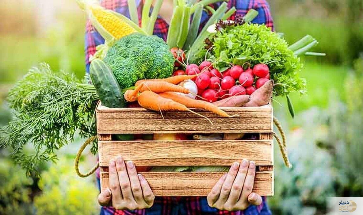 کدوم سبزیجات چربی سوز واقعی هستند؟