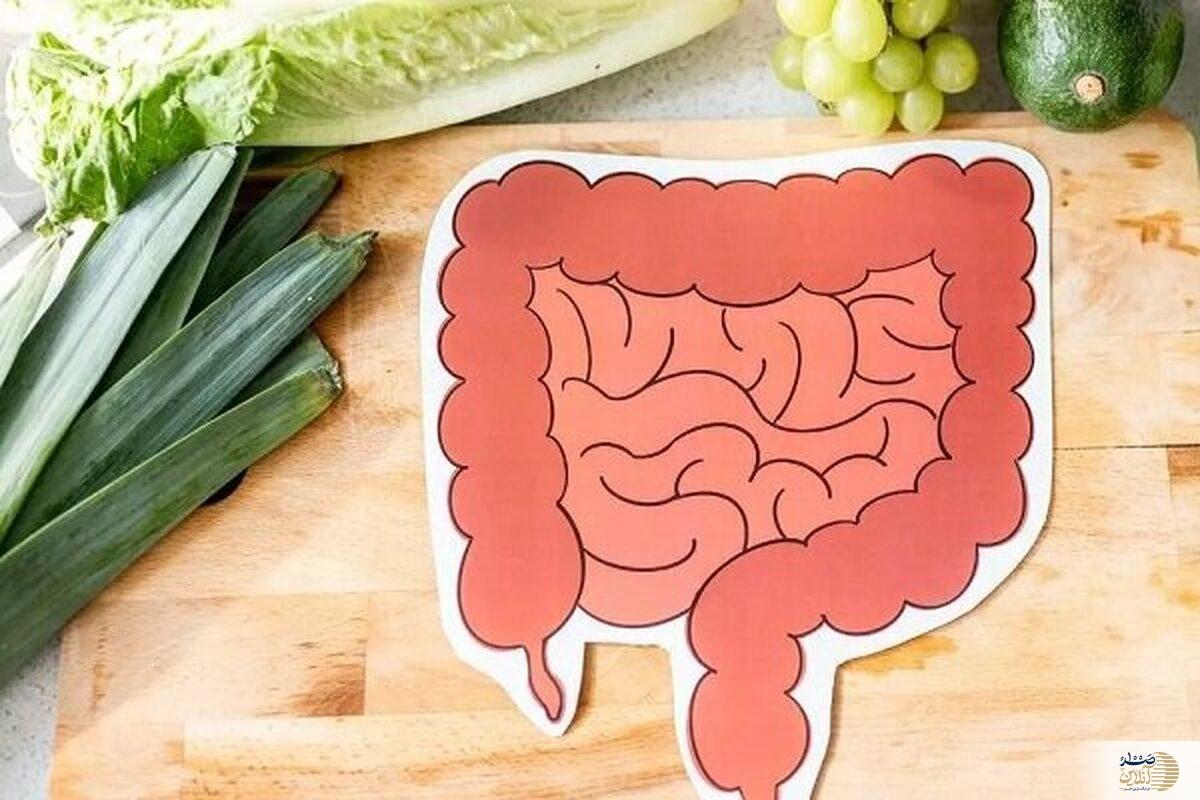 این۶ خوراکی دوست روده هستند!