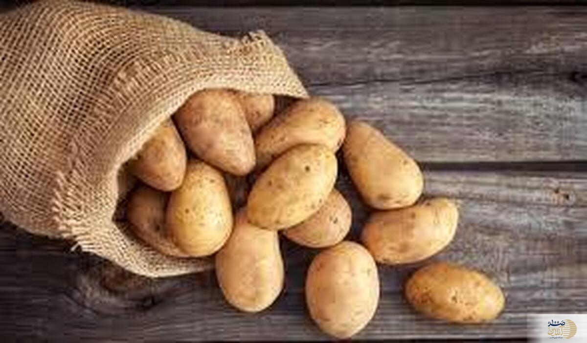 سیب‌زمینی شما را چاق می کند؟