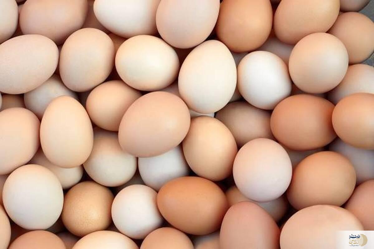 هر روز تخم مرغ نخورید !