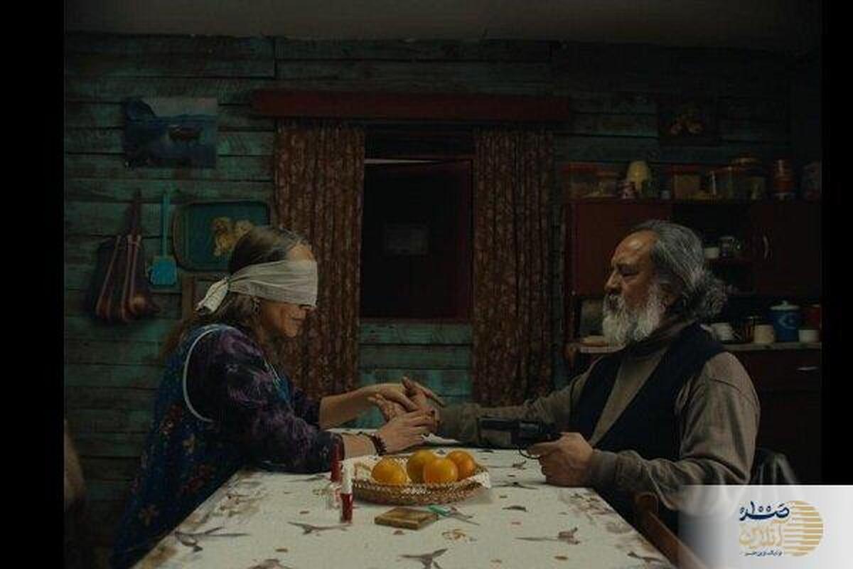 برندگان نوعی نگاه کن ۲۰۲۵ اعلام شدند؛ شیلی صدرنشین شد!
