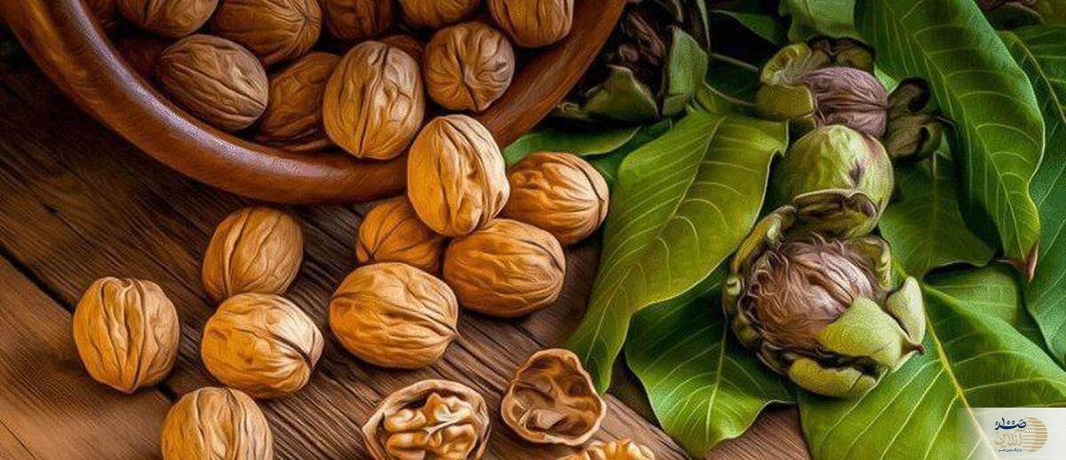 اگرمیخواهید در پیری دچار آلزایمرنشوید گردو بخورید