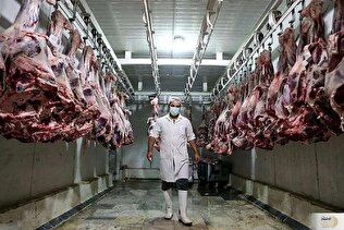 منتظر افزایش ناگهانی قیمت گوشت باشید