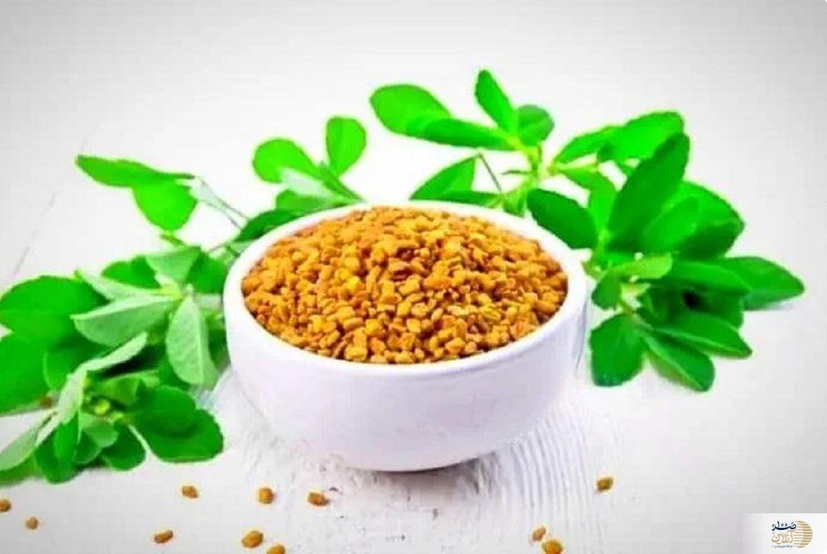 از کاهش قند خون تا جوانسازی پوست/ فواید این گیاه که از آن بی خبرید