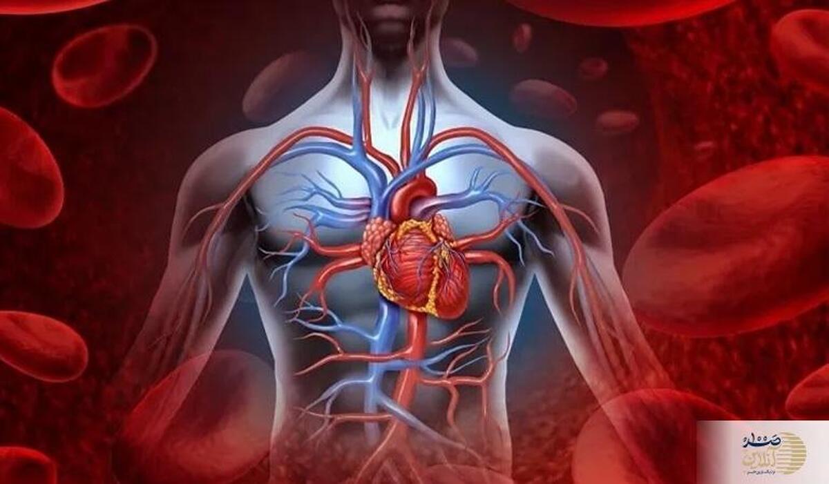 بشنوید| هشدار! علائم پنهان نارسایی قلب را جدی بگیرید