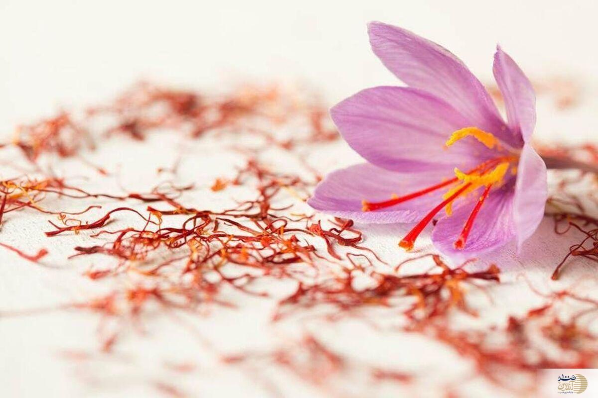 تقویت حافظه و پیشگیری از آلزایمر با این ادویه دوستدار قلب