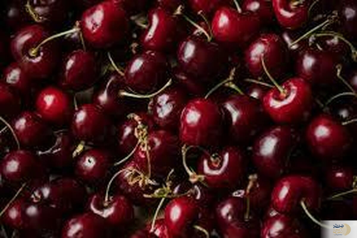 اگر در تابستان هر روز یک مشت گیلاس بخورید، چه اتفاقی در بدن شما می‌افتد؟