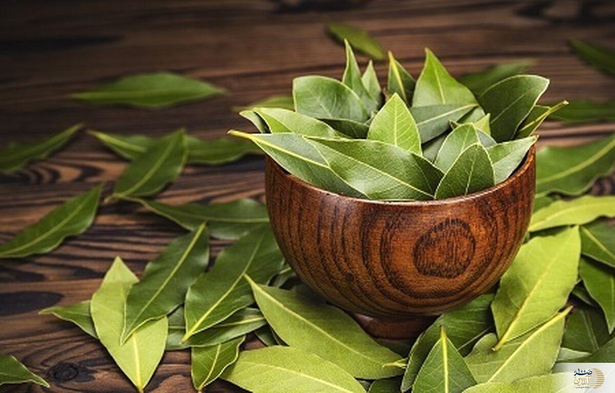 بهبود گوارش ، پیشگیری از دیابت و سرطان با معجزه‌ای سبز سلامت