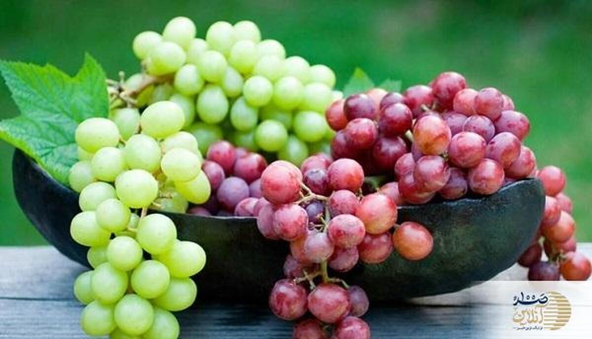 انگور؛ میوه شاهانه با خواص سلامتی فراوان