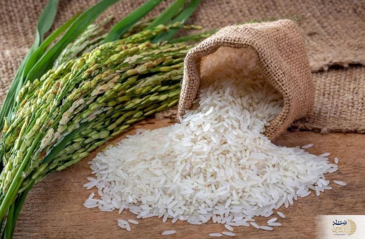 نذری ساده اما مؤثر/ چگونه با هفت دانه برنج صاحب خانه شویم؟