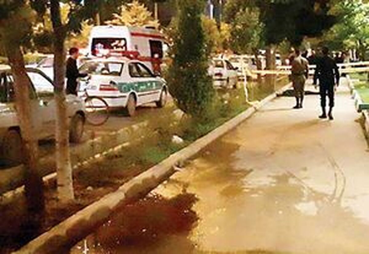 انتقام خونین در جنوب تهران/ دو جوان در پی درگیری بر سر رضایت قربانی شدند!