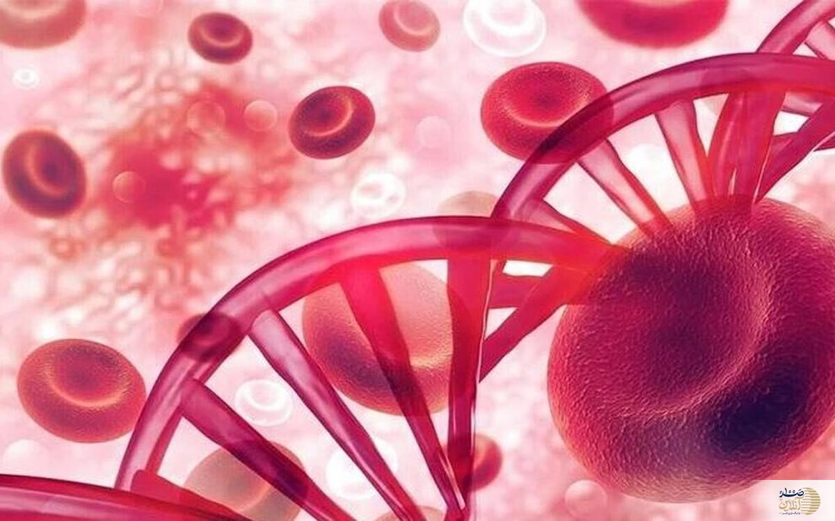 چند راهکار طبیعی و مؤثر برای افزایش آهن خون