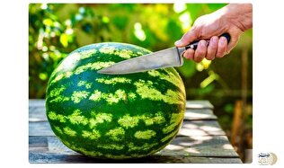 مهم/ قبل از خوردن هندوانه حتما این کار را انجام دهید