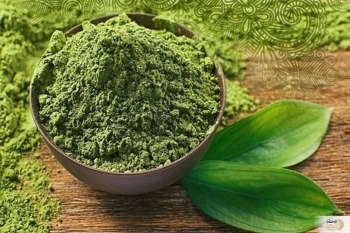 طلای سبز طبیعت/ معجزه حنا برای درمان و زیبایی پوست و مو!