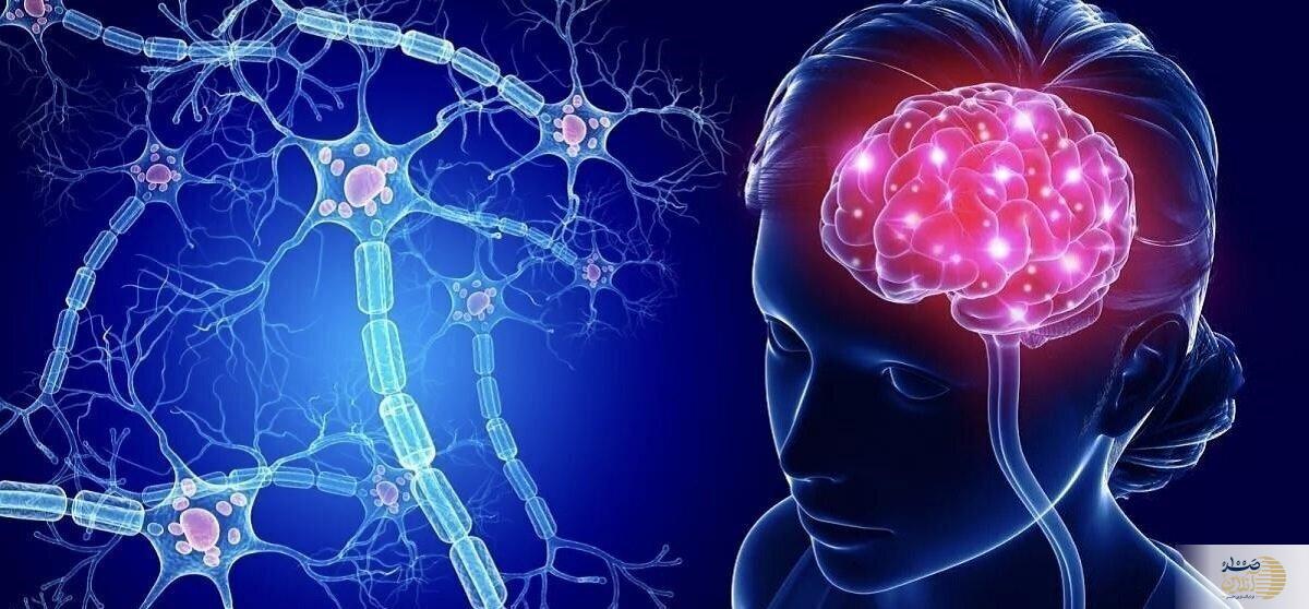 قلب و مغز در خطر! چگونه با فشار خون بالا، حافظه خود را حفظ کنیم؟