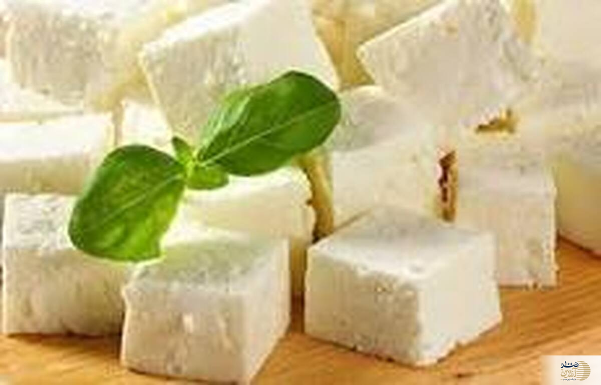 صبحانه یا شام/  بهترین زمان خوردن پنیر برای جذب بهتر مواد مغذی