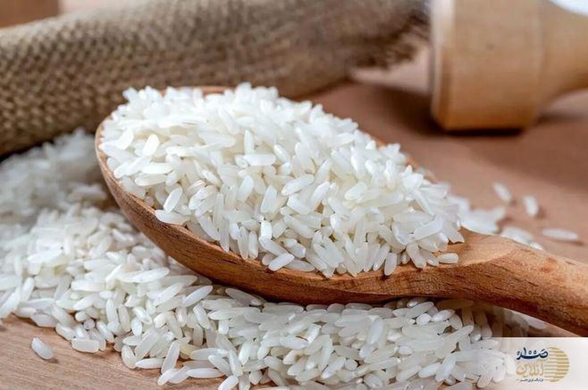 برنج های لوکس داخلی چرا گران شدند؟ / توضیح وزیر جهاد کشاورزی